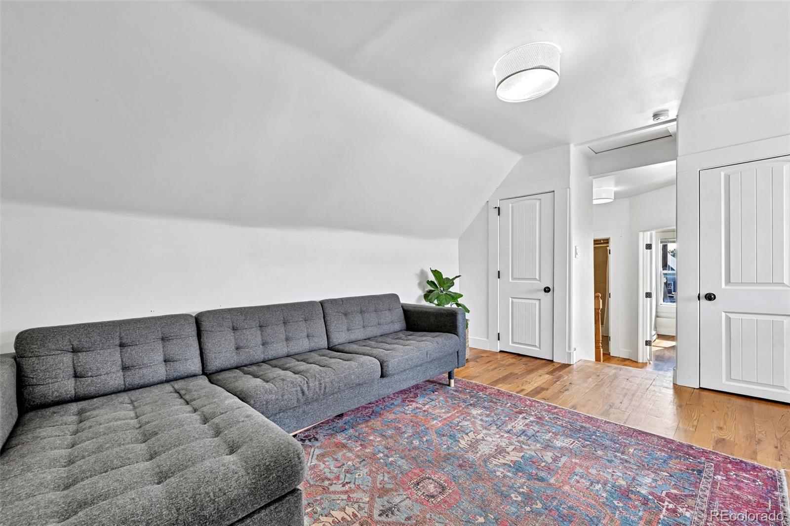 MLS Image #24 for 4648  josephine street,denver, Colorado