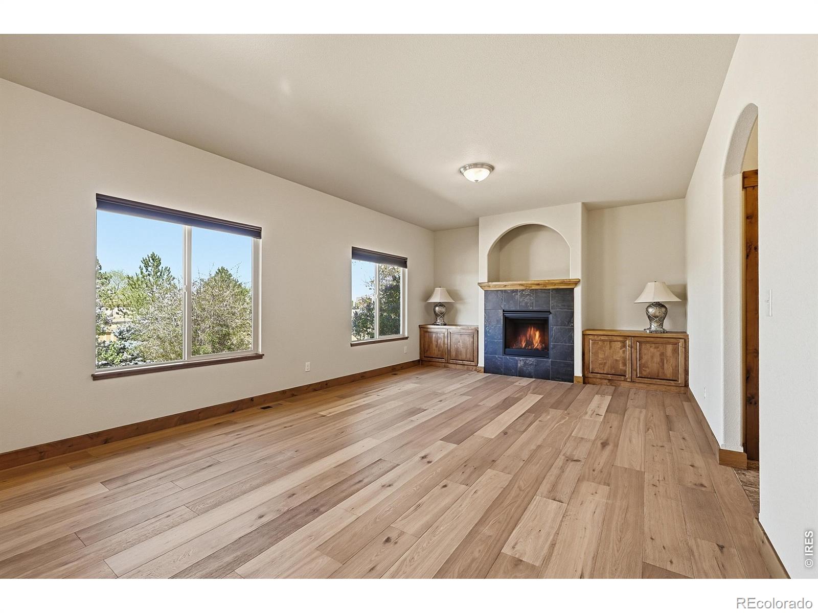 MLS Image #14 for 5193  rock hill street,timnath, Colorado