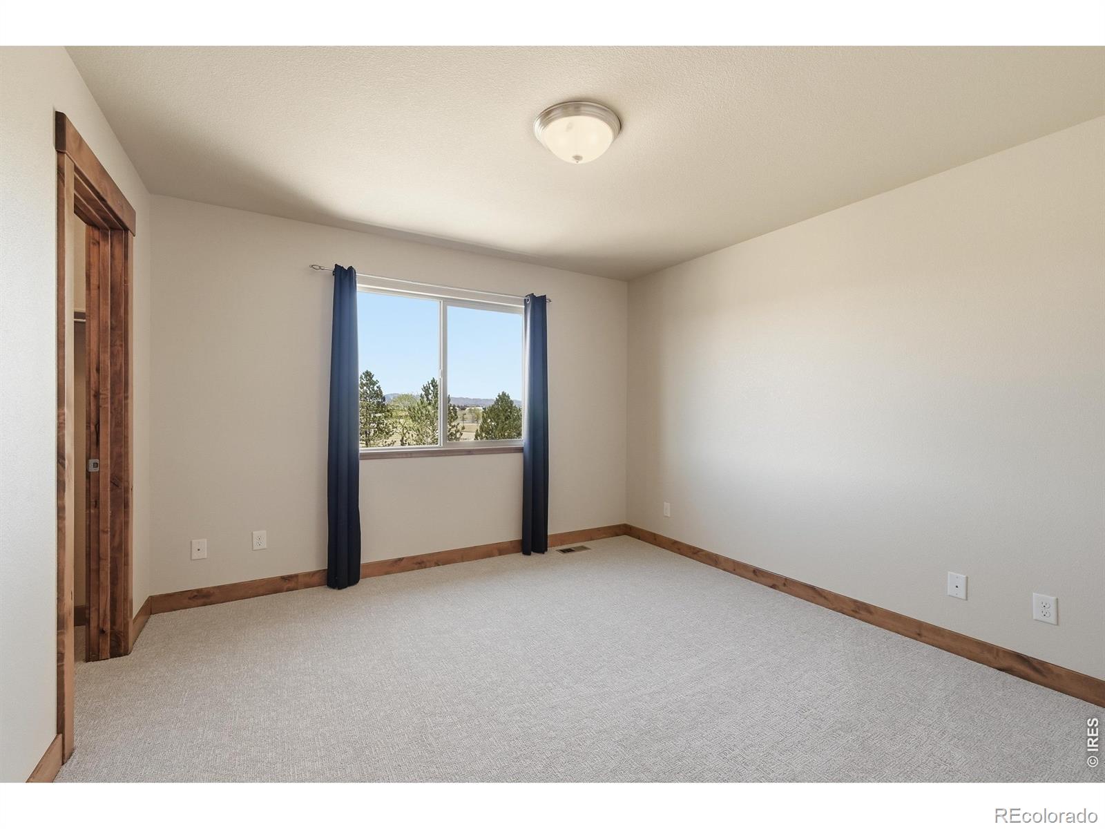 MLS Image #24 for 5193  rock hill street,timnath, Colorado