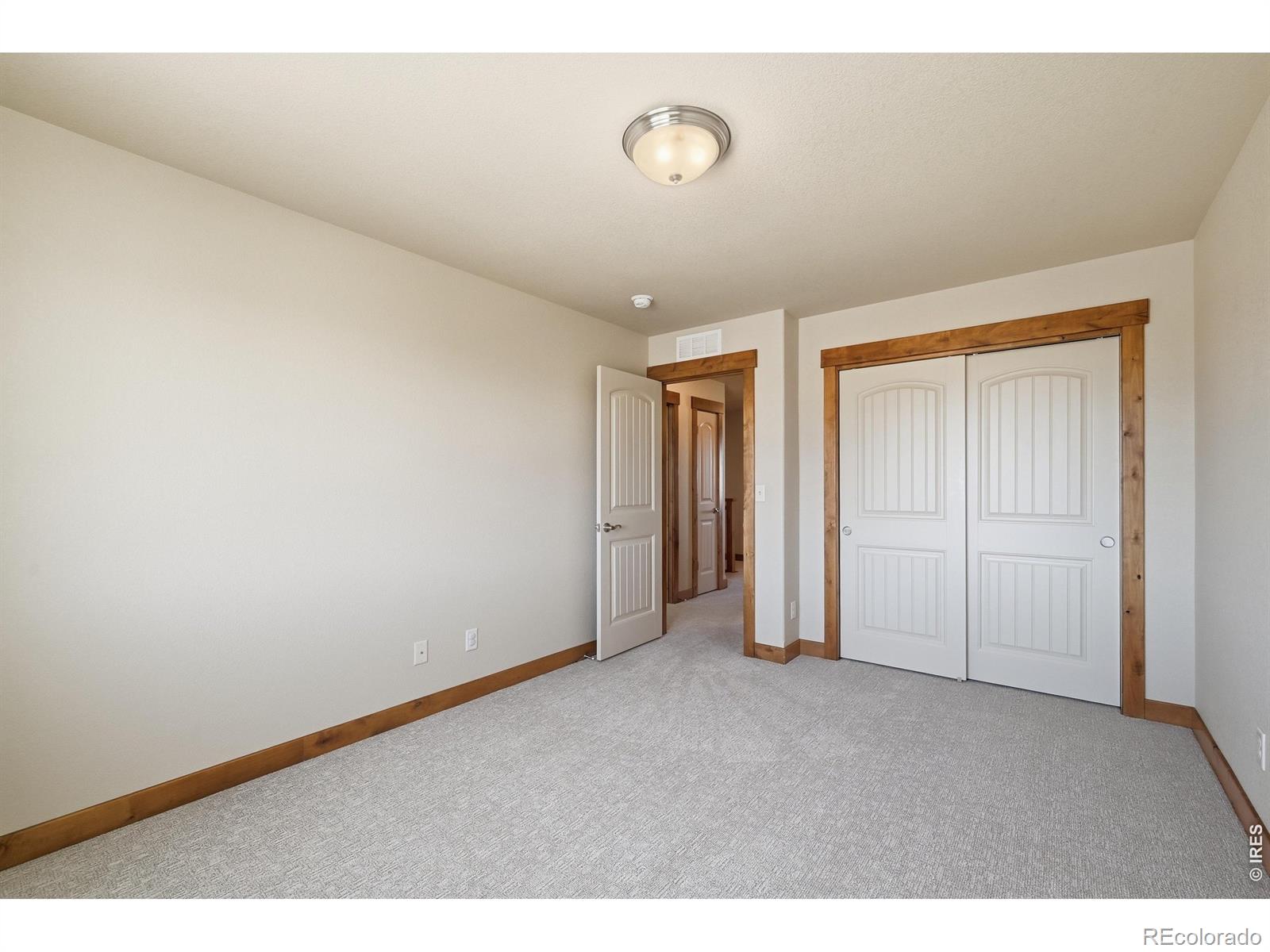 MLS Image #29 for 5193  rock hill street,timnath, Colorado