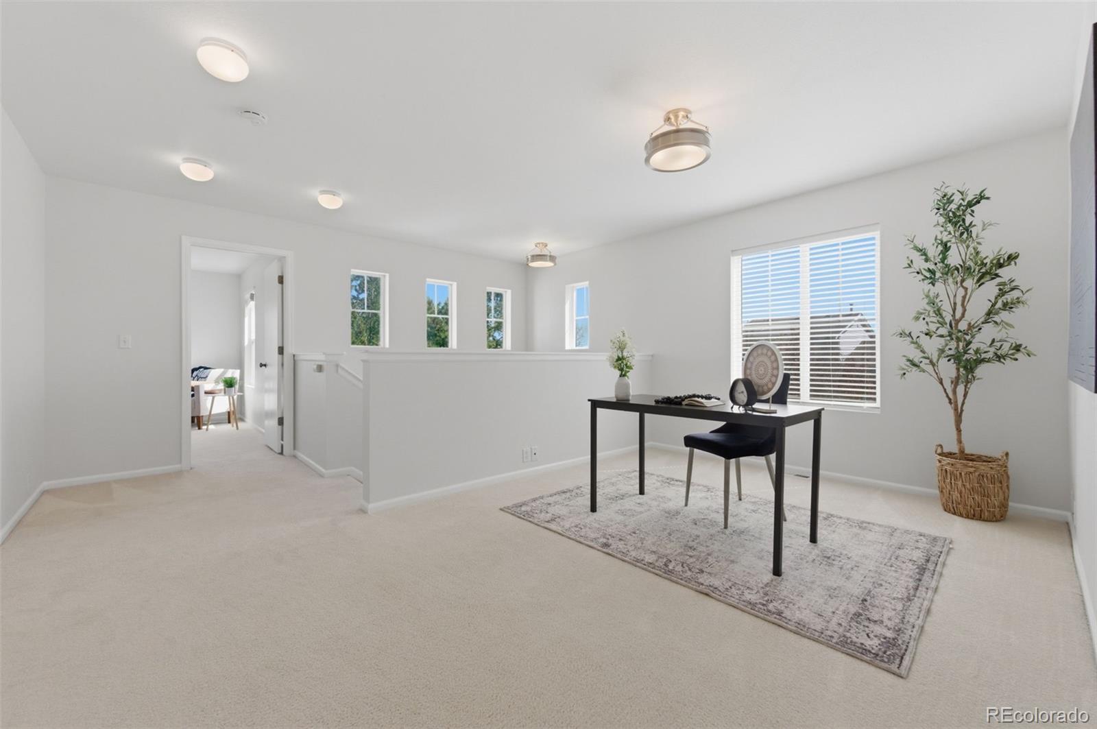 MLS Image #33 for 6016  conductors point,colorado springs, Colorado