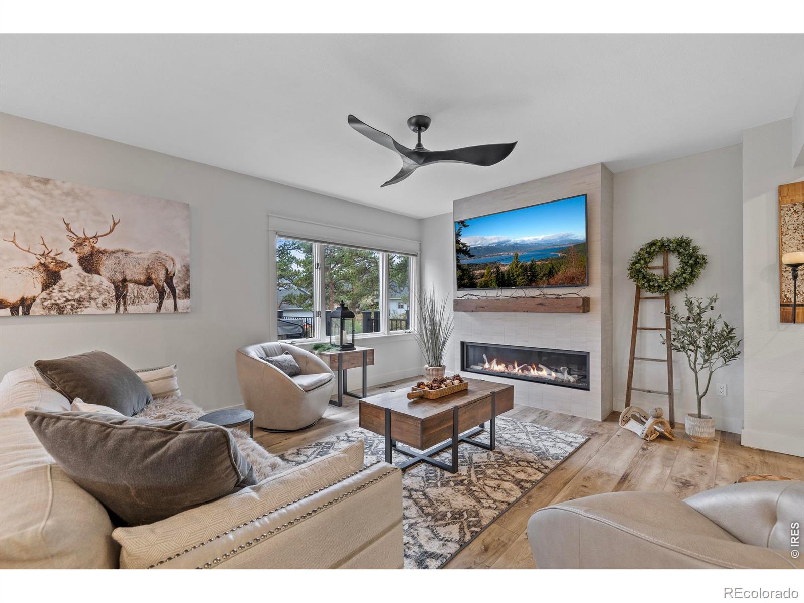 MLS Image #6 for 370  big boulder drive,estes park, Colorado