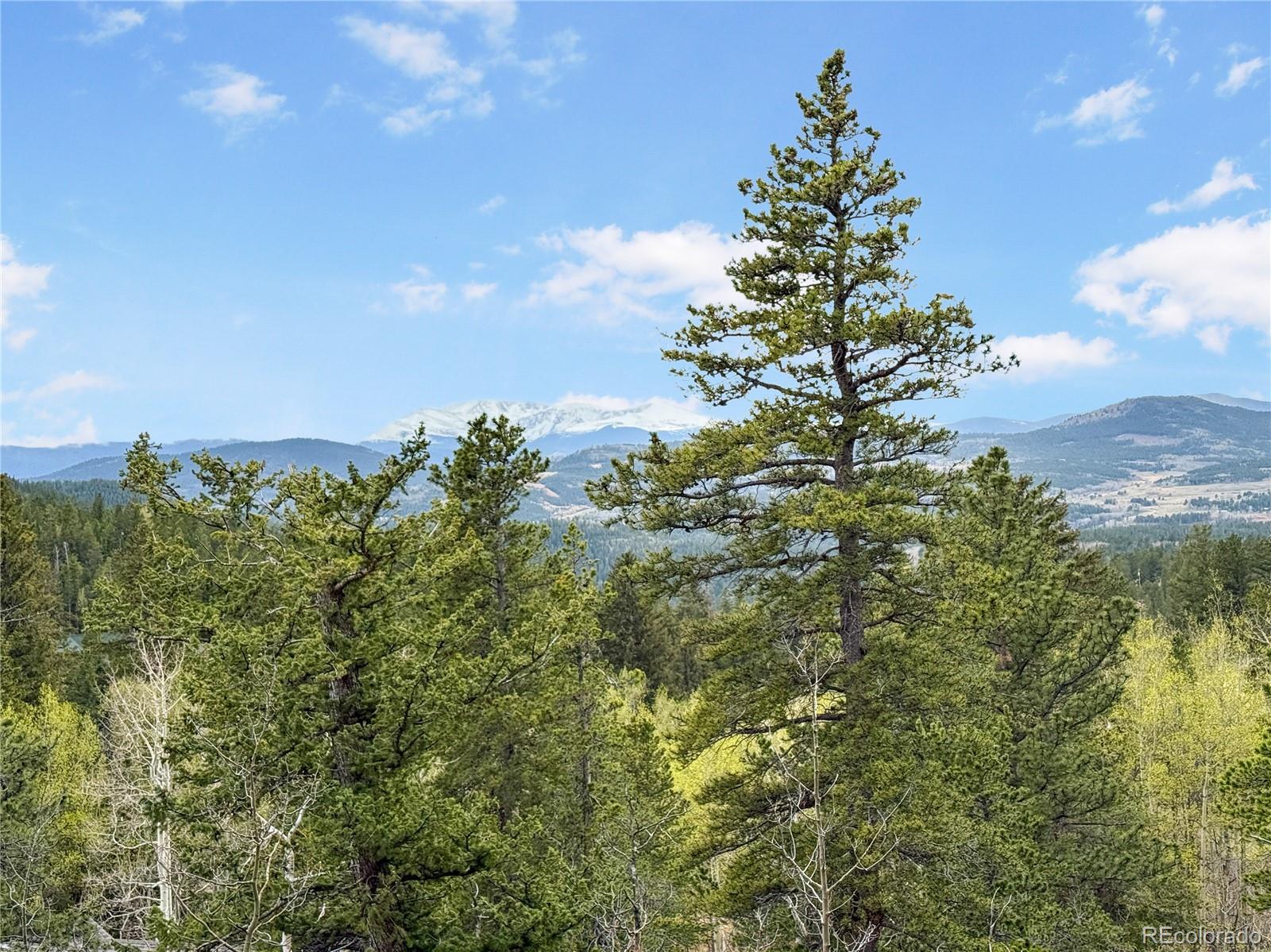 MLS Image #40 for 350  foxtail drive,black hawk, Colorado