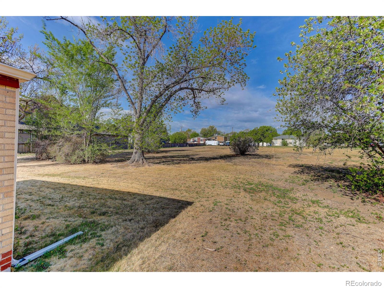 MLS Image #7 for 1035 n 4th street,berthoud, Colorado
