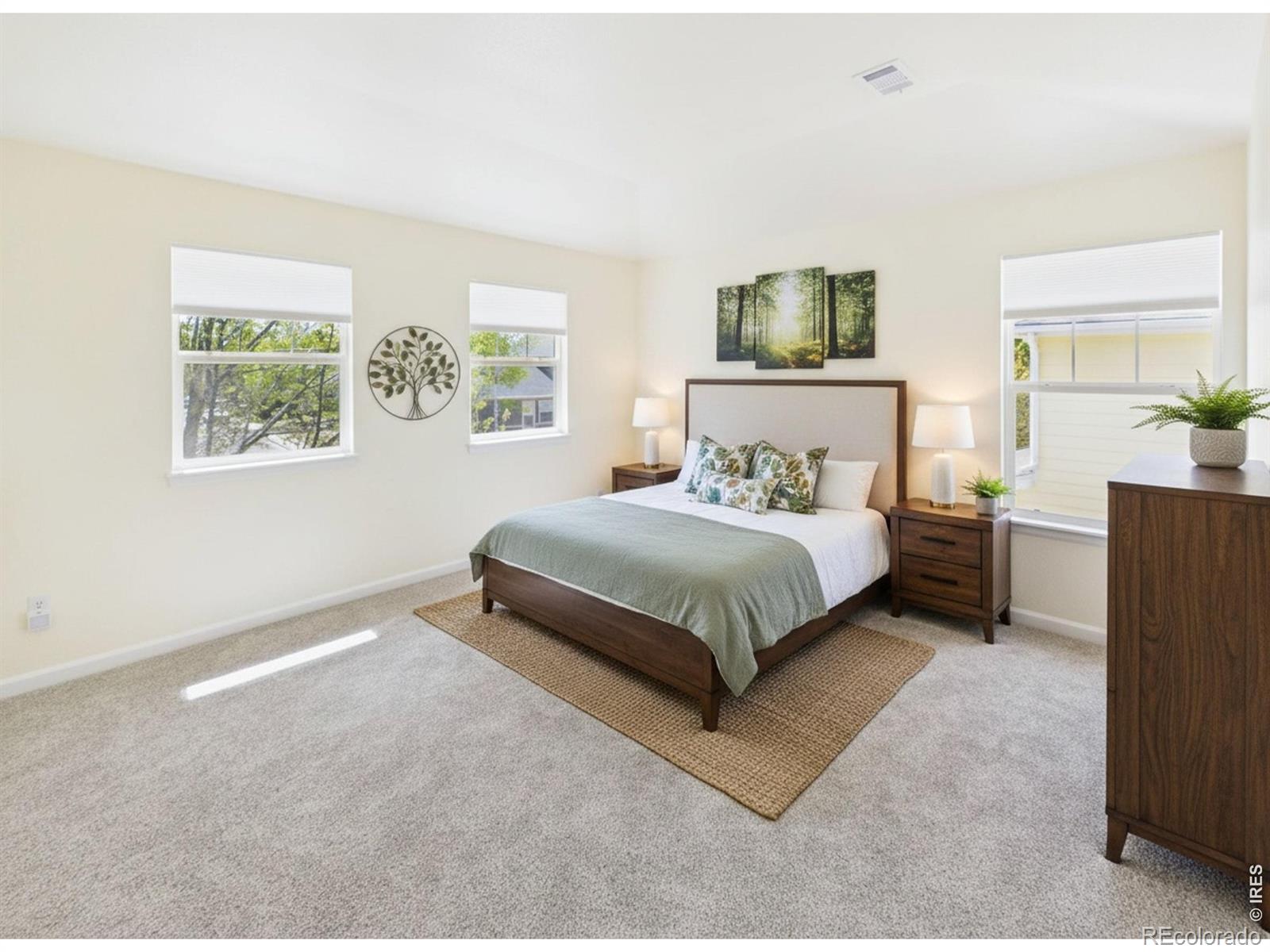MLS Image #14 for 5242  mount arapaho circle,frederick, Colorado