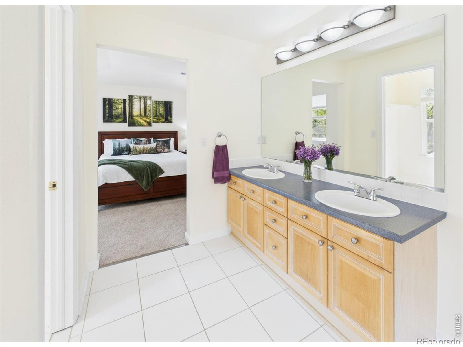 MLS Image #16 for 5242  mount arapaho circle,frederick, Colorado