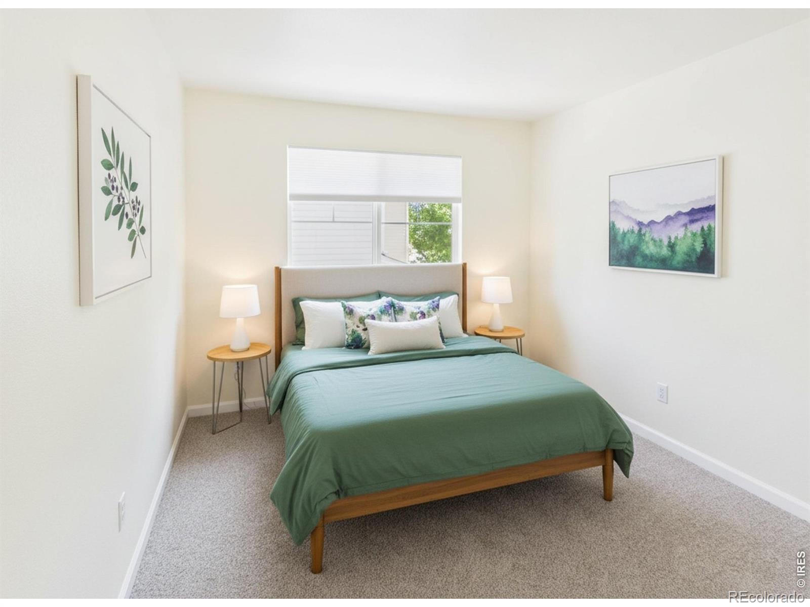 MLS Image #17 for 5242  mount arapaho circle,frederick, Colorado