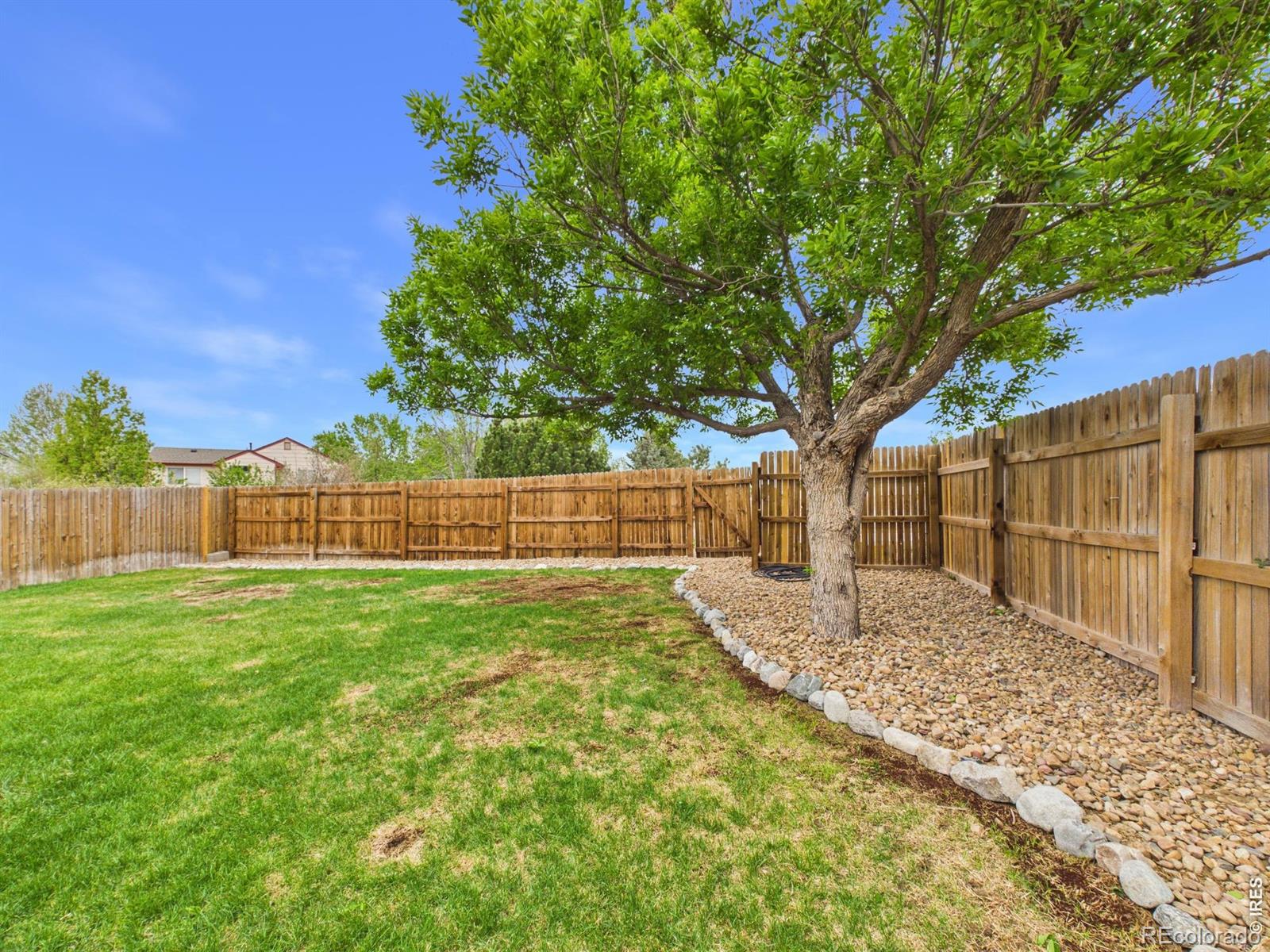 MLS Image #23 for 5242  mount arapaho circle,frederick, Colorado