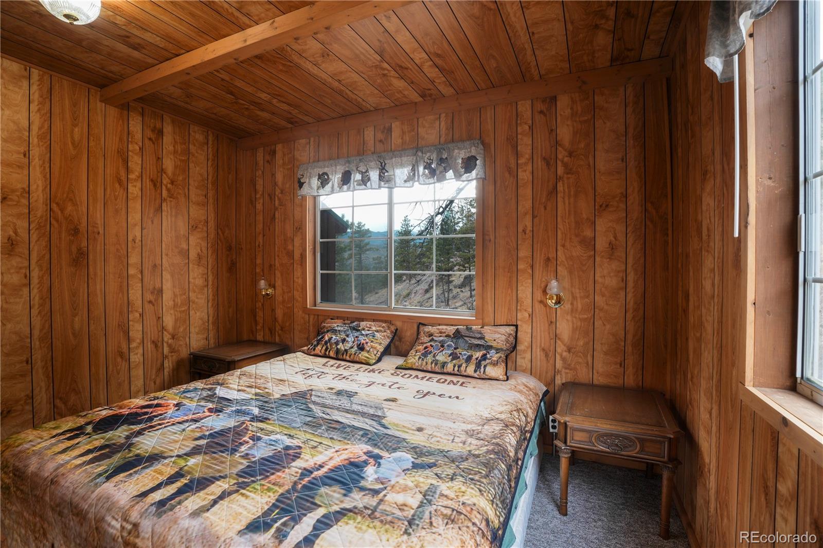 MLS Image #10 for 1049  spencer mountain road,bellvue, Colorado