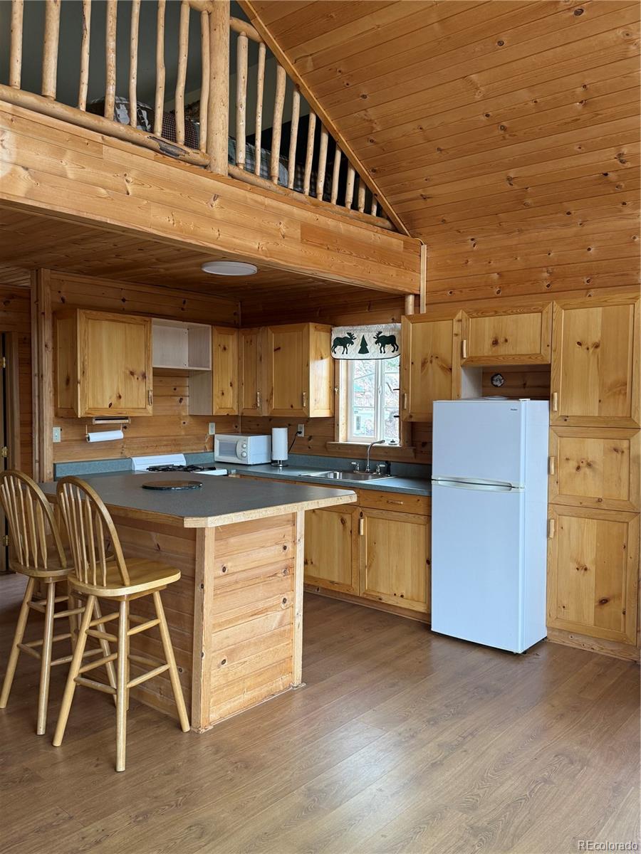 MLS Image #15 for 1049  spencer mountain road,bellvue, Colorado