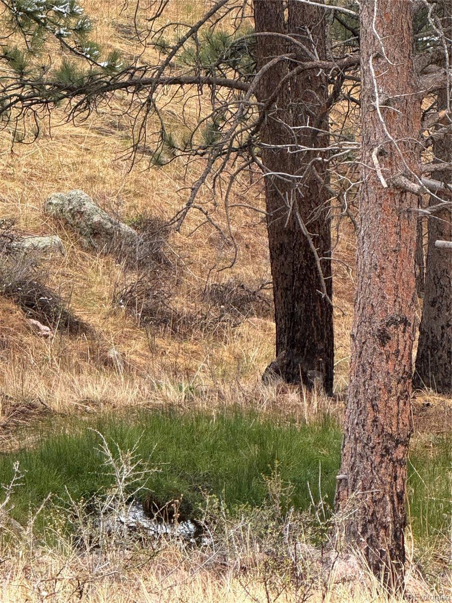 MLS Image #31 for 1049  spencer mountain road,bellvue, Colorado