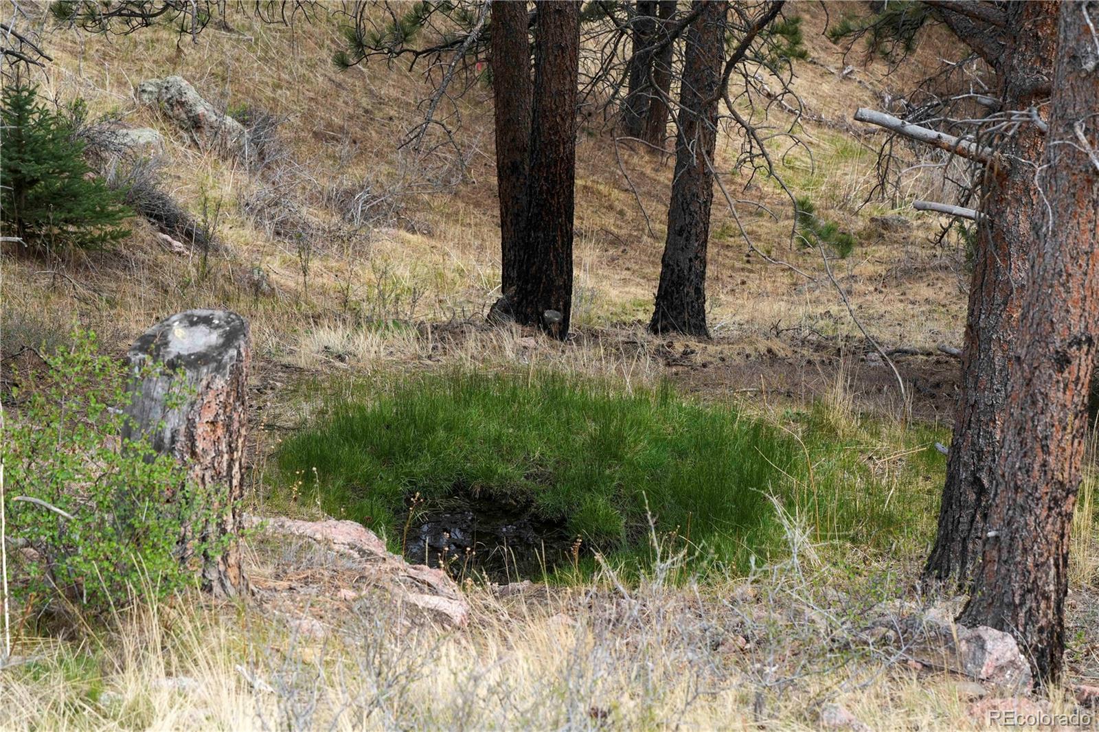 MLS Image #33 for 1049  spencer mountain road,bellvue, Colorado
