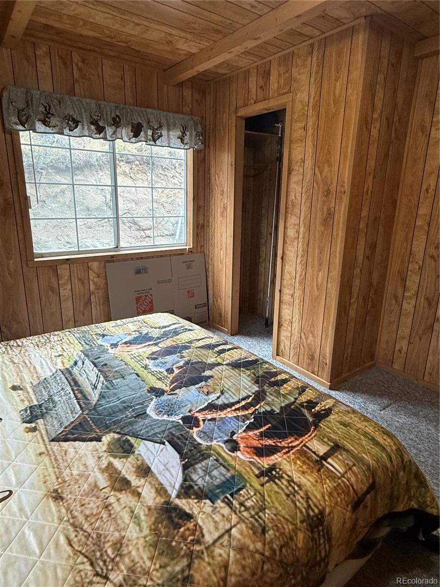 MLS Image #7 for 1049  spencer mountain road,bellvue, Colorado