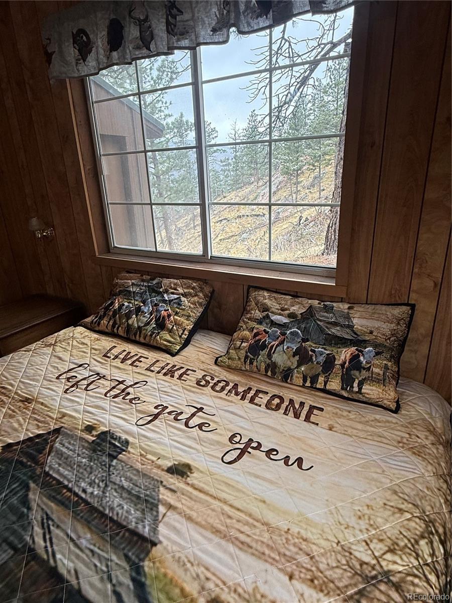 MLS Image #9 for 1049  spencer mountain road,bellvue, Colorado