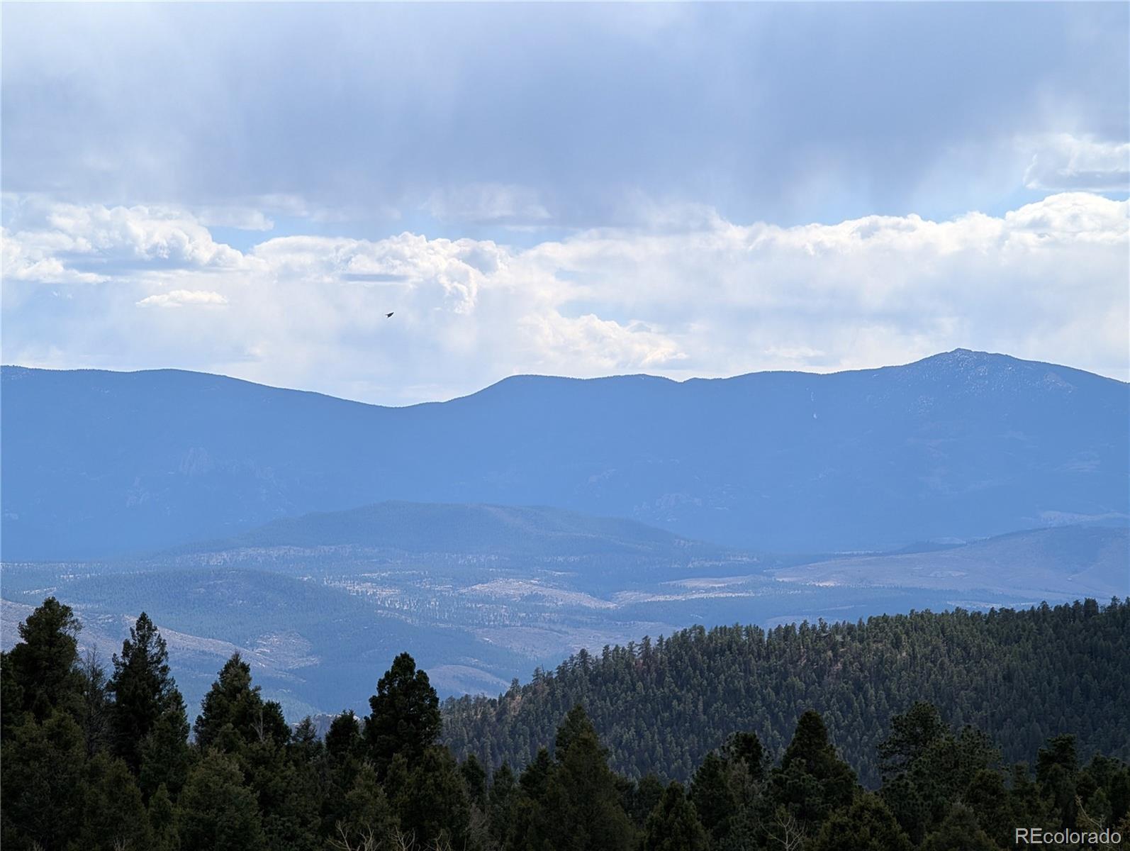 MLS Image #1 for 13108  elsie road,conifer, Colorado