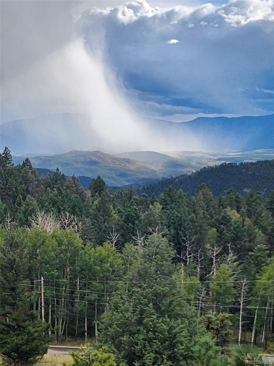 MLS Image #16 for 13108  elsie road,conifer, Colorado
