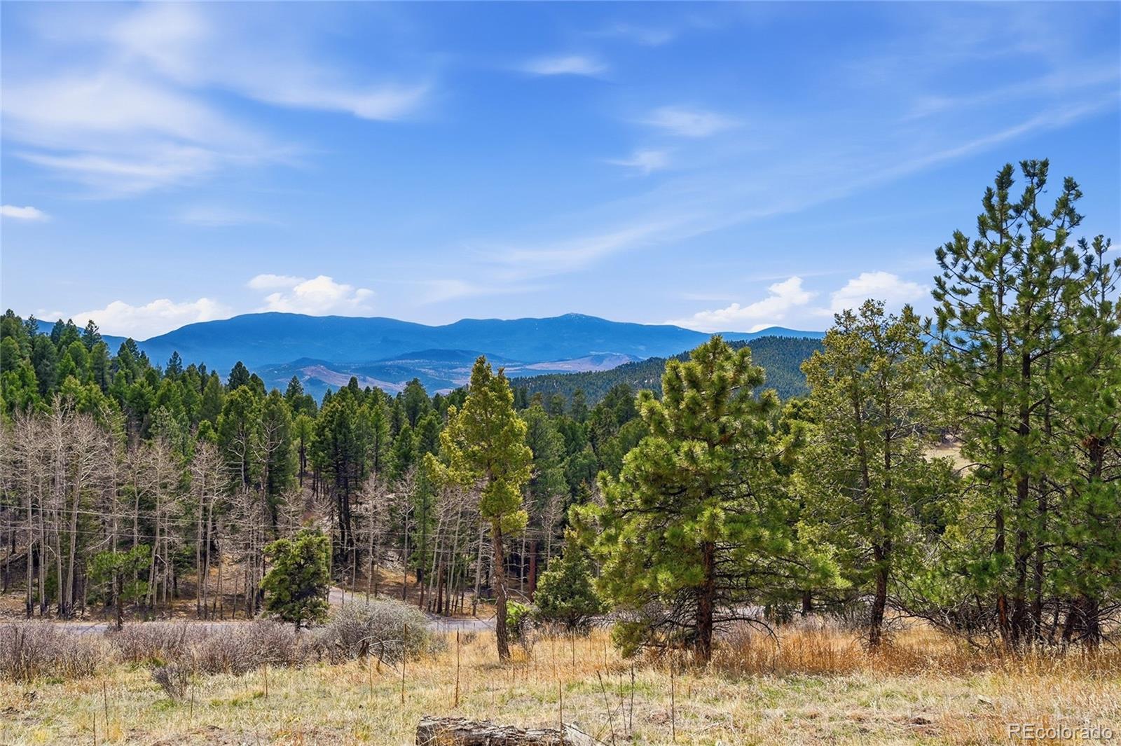 MLS Image #2 for 13108  elsie road,conifer, Colorado