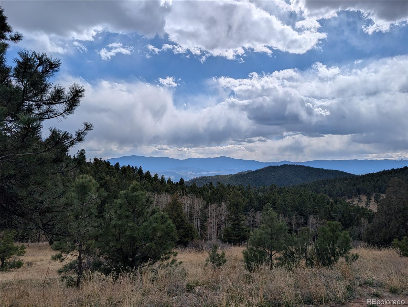 MLS Image #33 for 13108  elsie road,conifer, Colorado