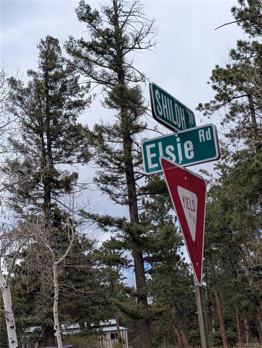 MLS Image #46 for 13108  elsie road,conifer, Colorado