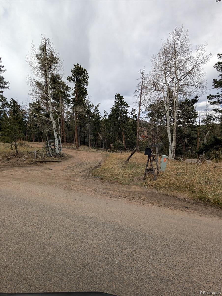 MLS Image #48 for 13108  elsie road,conifer, Colorado