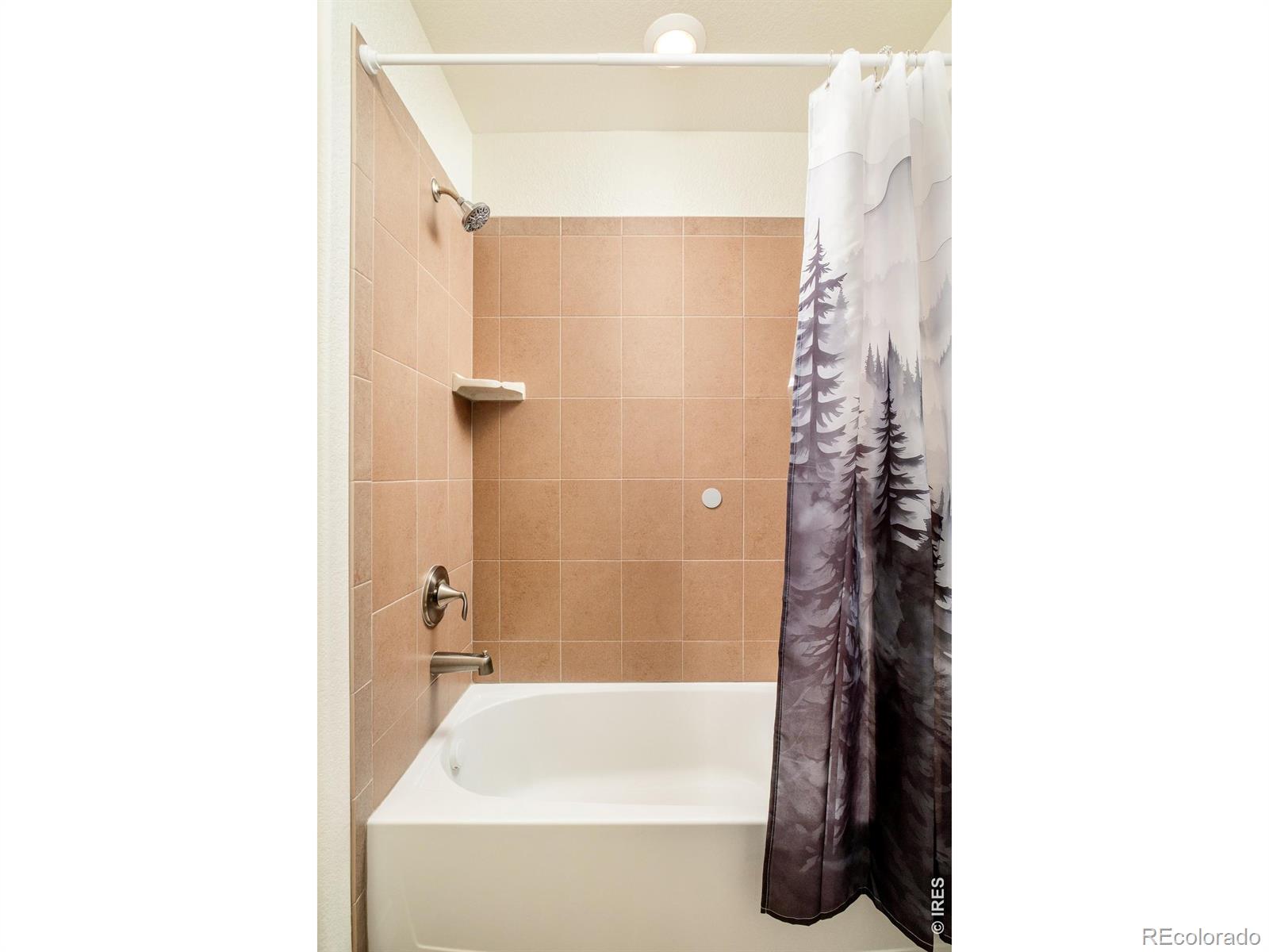 MLS Image #26 for 14247  hudson street,thornton, Colorado