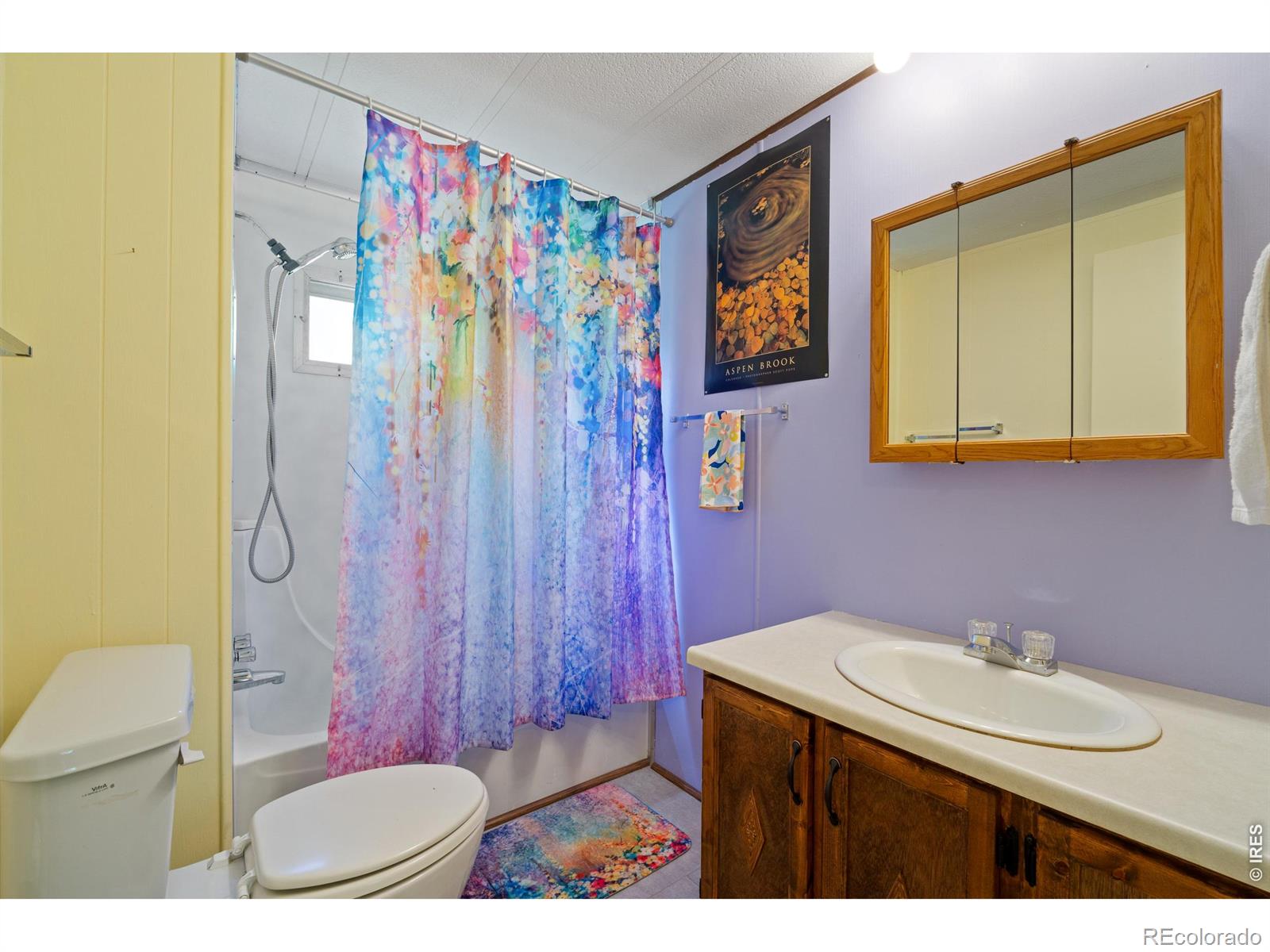 MLS Image #27 for 185  meadow lane,bellvue, Colorado