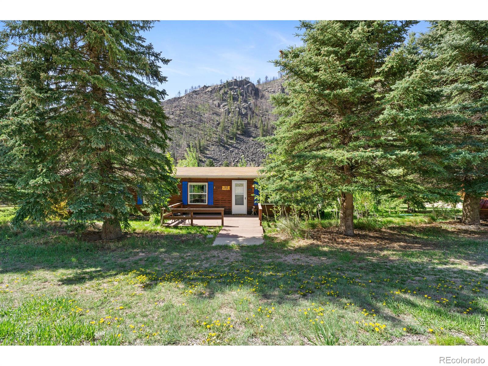 MLS Image #3 for 185  meadow lane,bellvue, Colorado