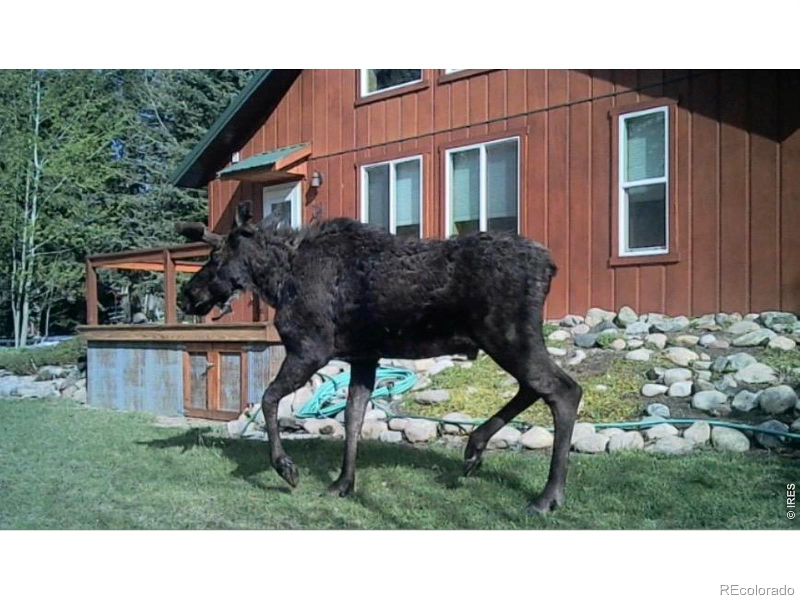 MLS Image #36 for 185  meadow lane,bellvue, Colorado