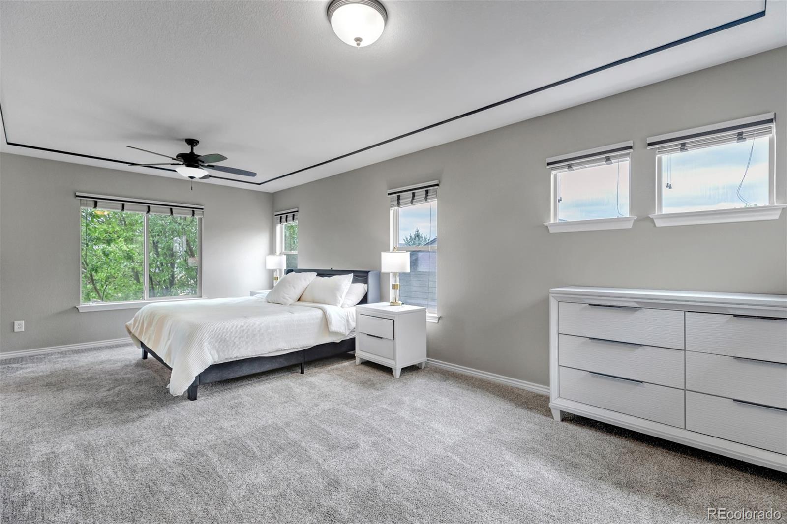 MLS Image #18 for 12238  idalia street,commerce city, Colorado