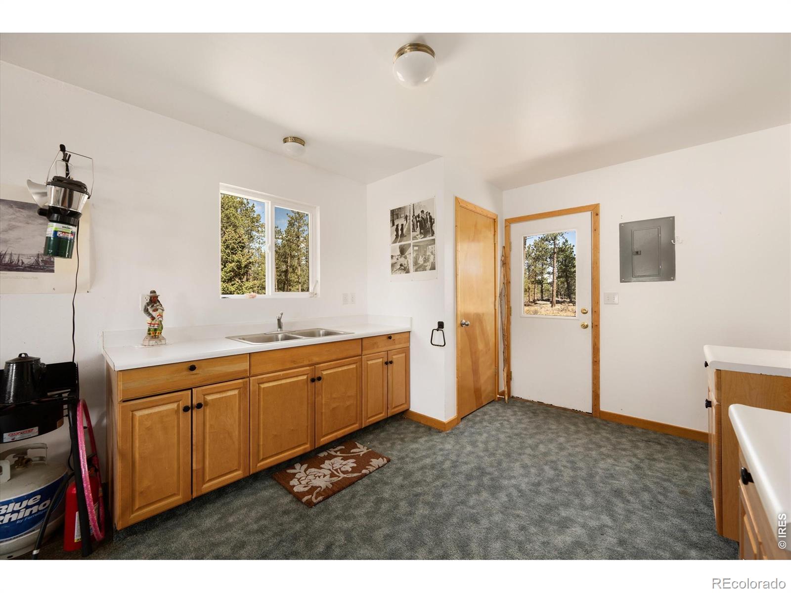MLS Image #13 for 255  elk park road,livermore, Colorado