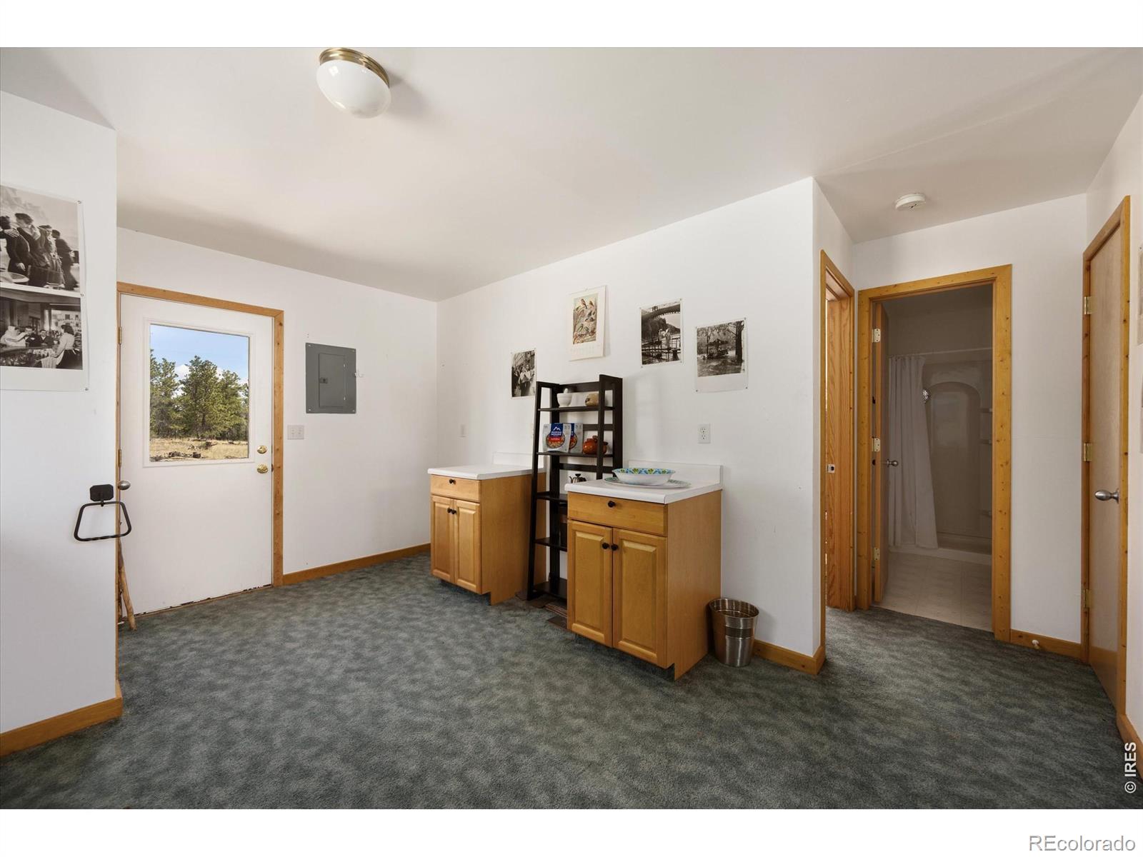 MLS Image #14 for 255  elk park road,livermore, Colorado