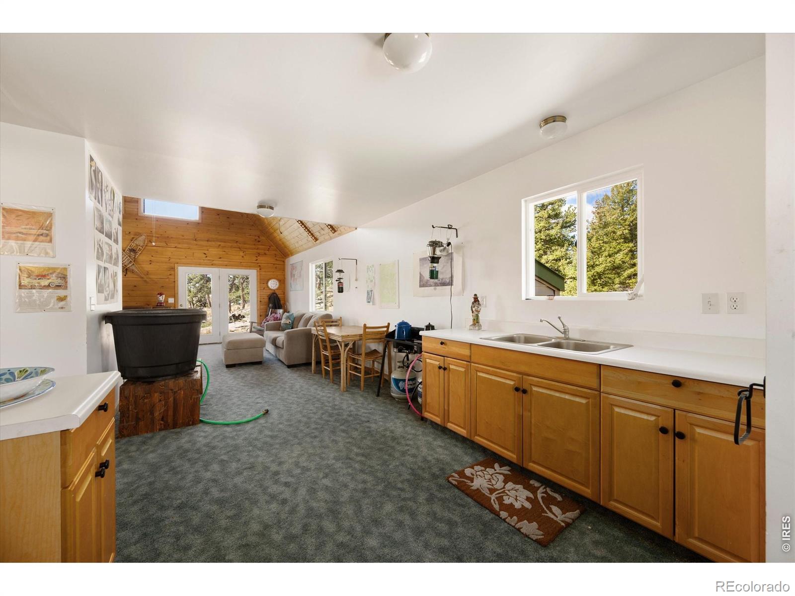 MLS Image #15 for 255  elk park road,livermore, Colorado