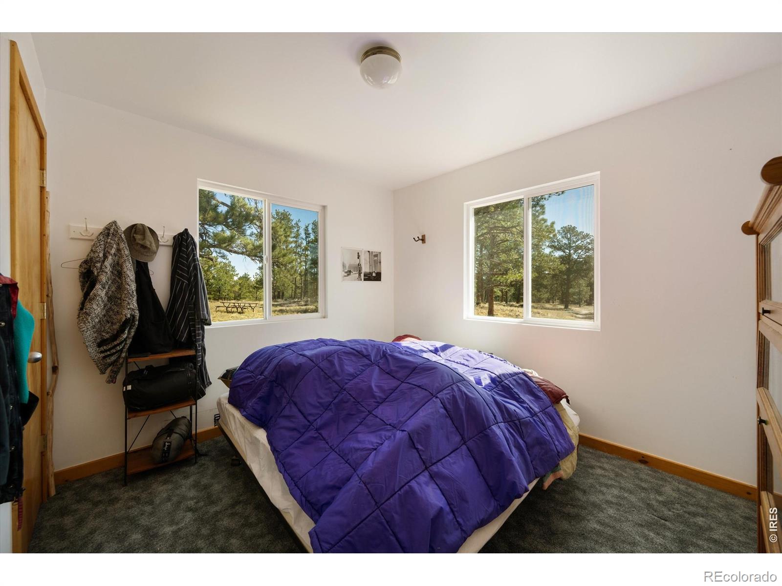 MLS Image #18 for 255  elk park road,livermore, Colorado