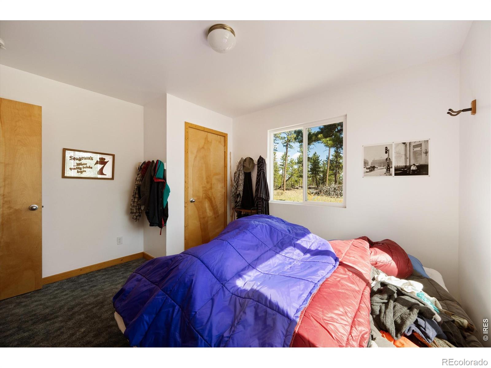 MLS Image #19 for 255  elk park road,livermore, Colorado