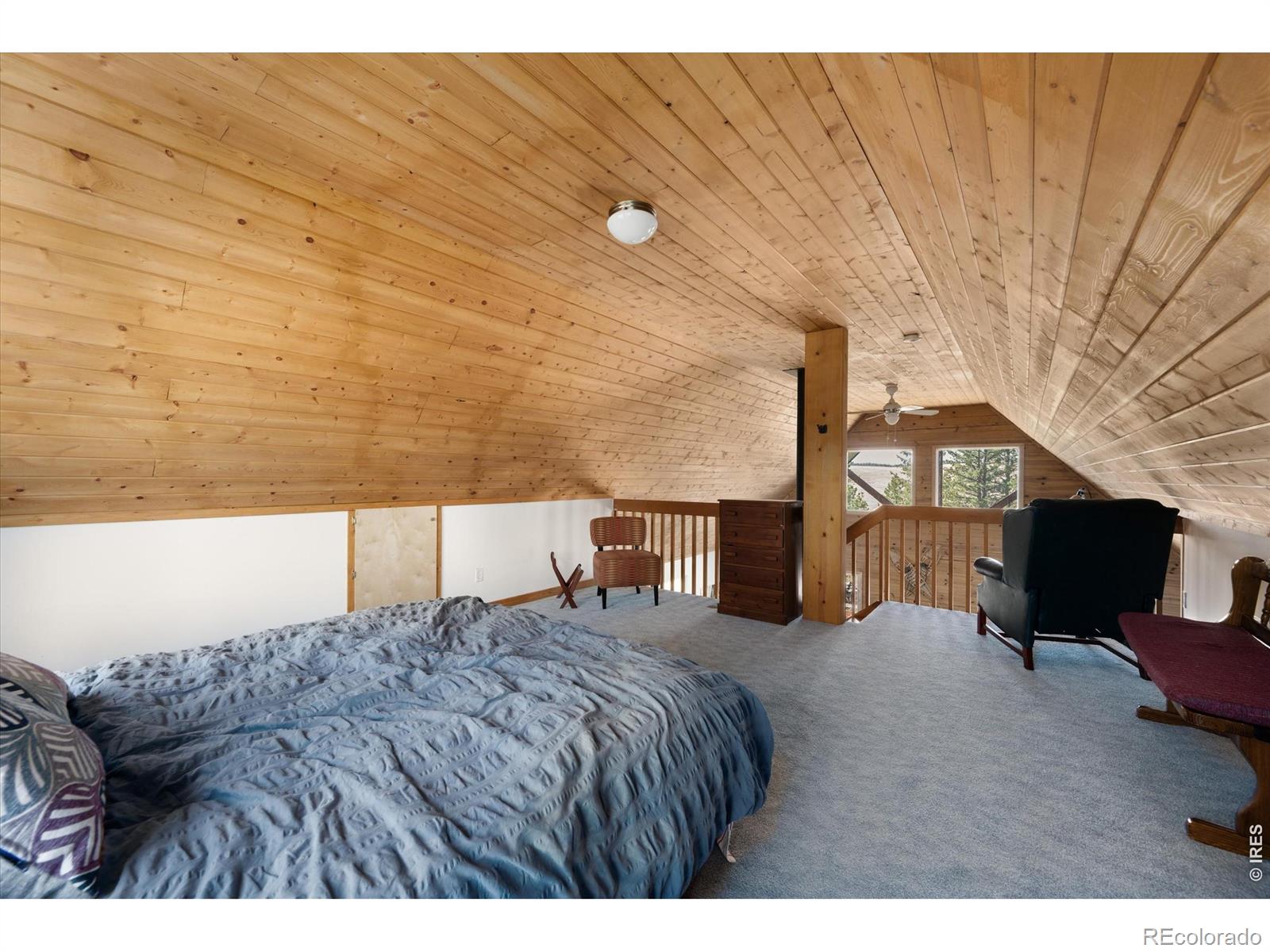 MLS Image #23 for 255  elk park road,livermore, Colorado