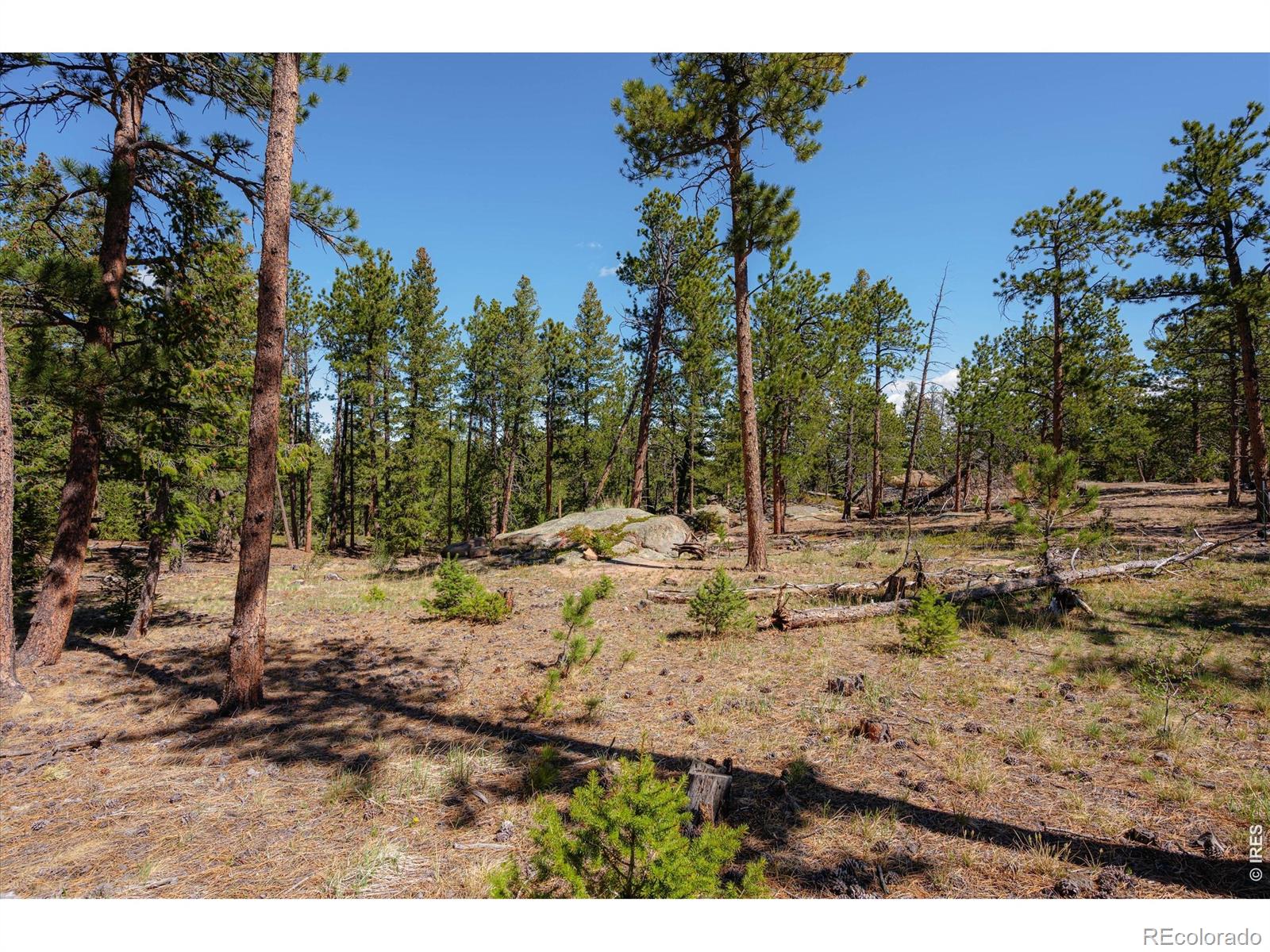 MLS Image #25 for 255  elk park road,livermore, Colorado