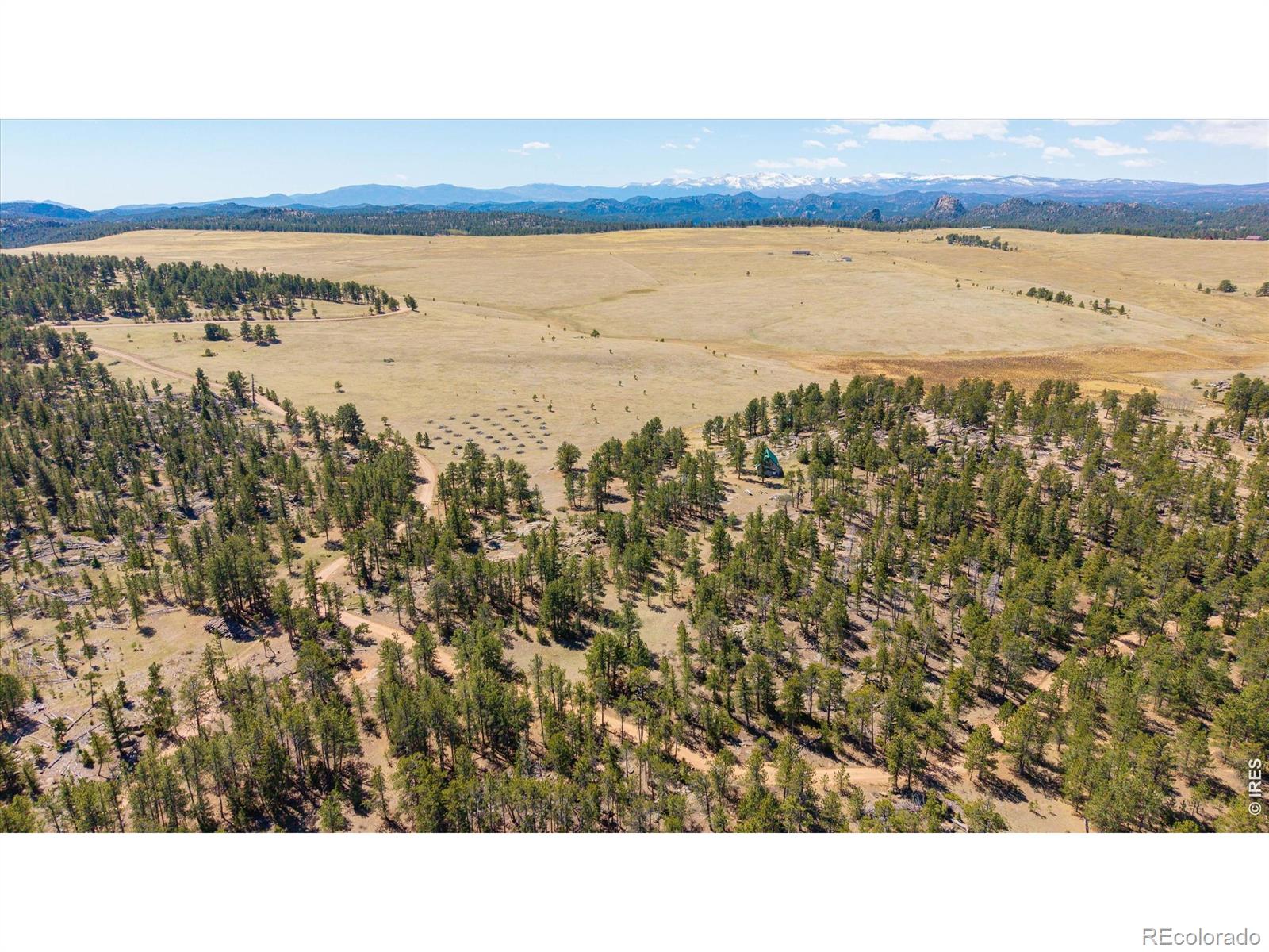 MLS Image #3 for 255  elk park road,livermore, Colorado