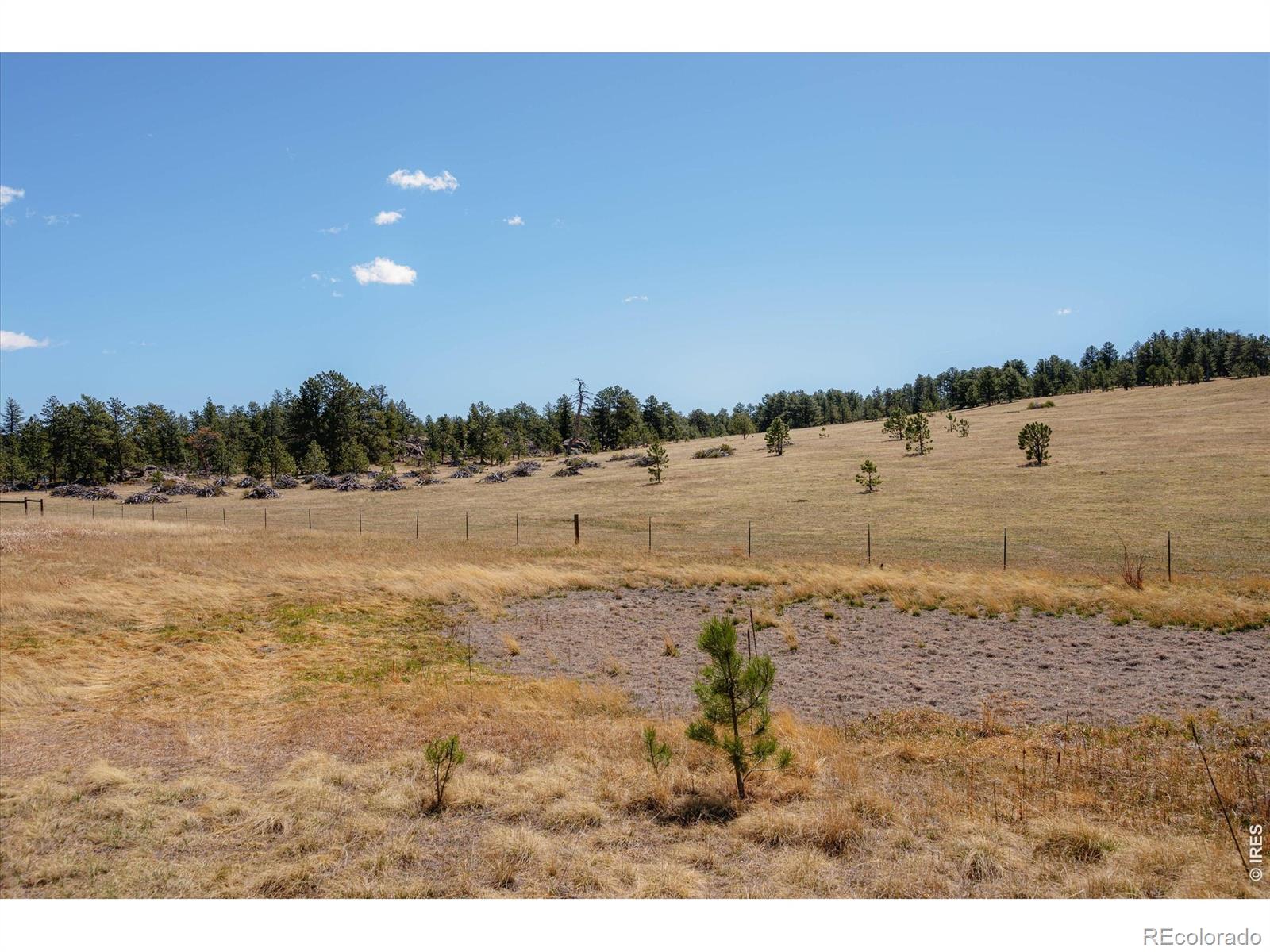 MLS Image #32 for 255  elk park road,livermore, Colorado
