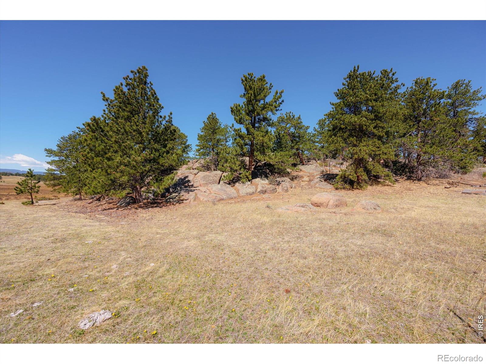 MLS Image #35 for 255  elk park road,livermore, Colorado