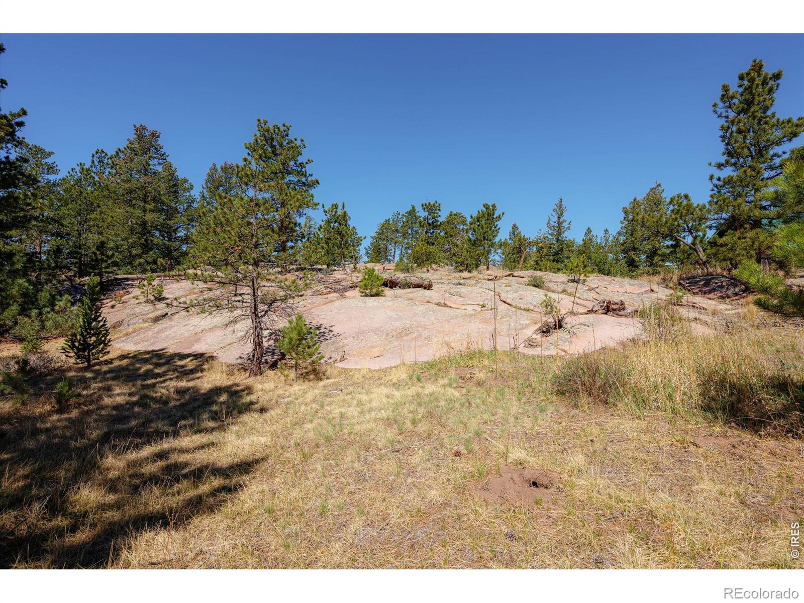 MLS Image #37 for 255  elk park road,livermore, Colorado