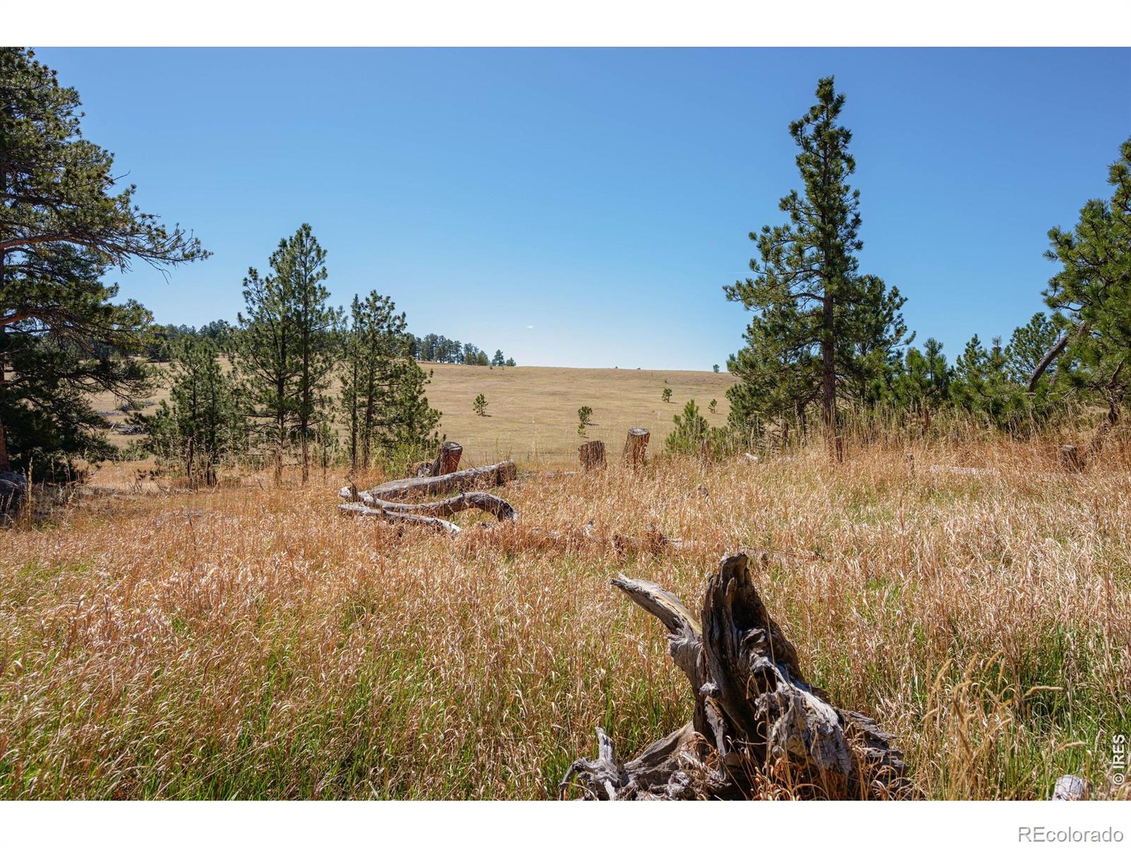 MLS Image #40 for 255  elk park road,livermore, Colorado