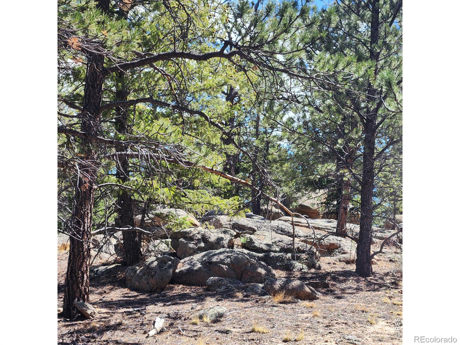MLS Image #41 for 255  elk park road,livermore, Colorado