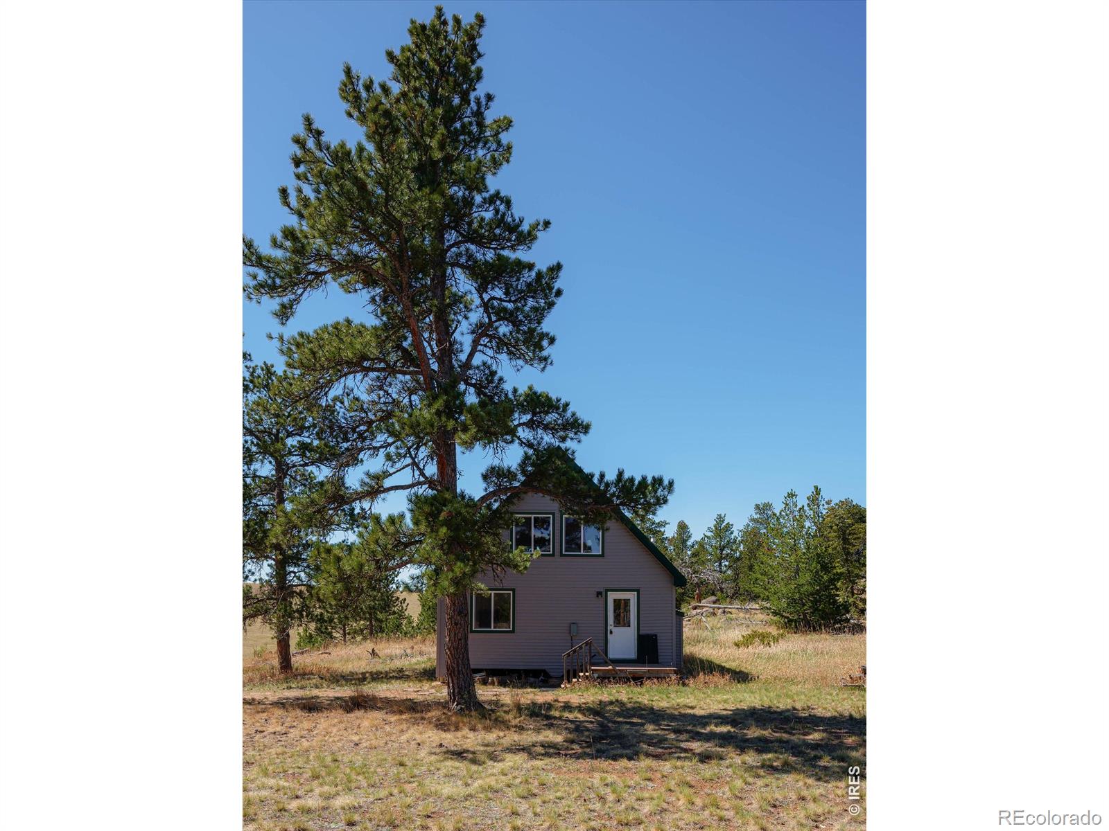 MLS Image #6 for 255  elk park road,livermore, Colorado