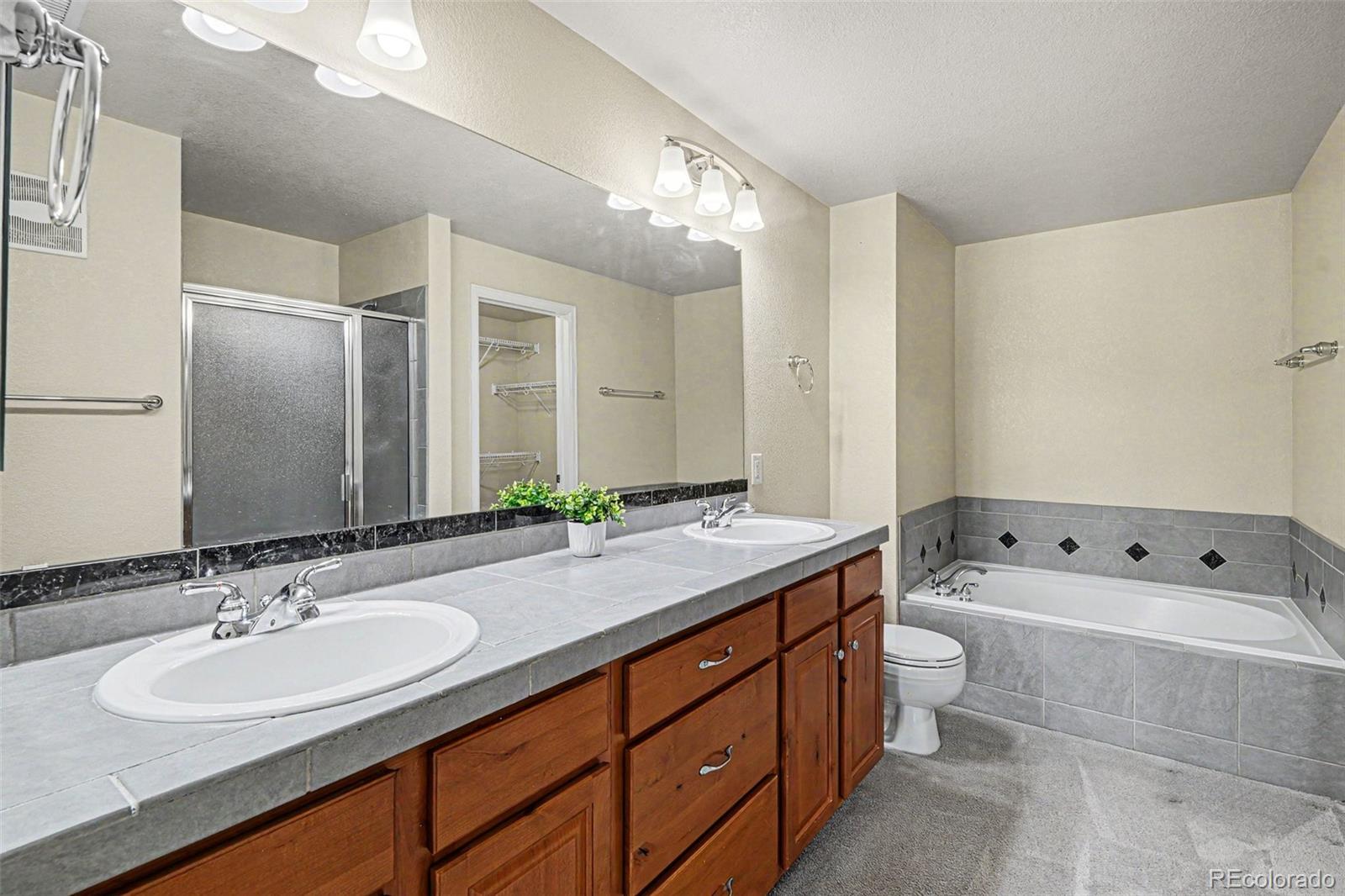 MLS Image #13 for 9305  las ramblas court,parker, Colorado