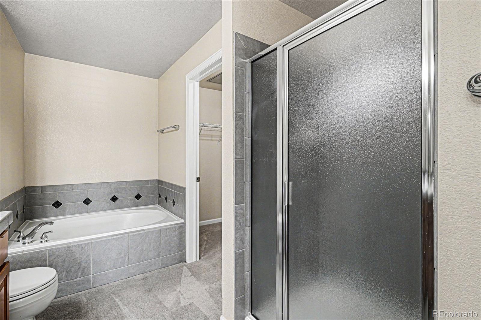 MLS Image #16 for 9305  las ramblas court,parker, Colorado
