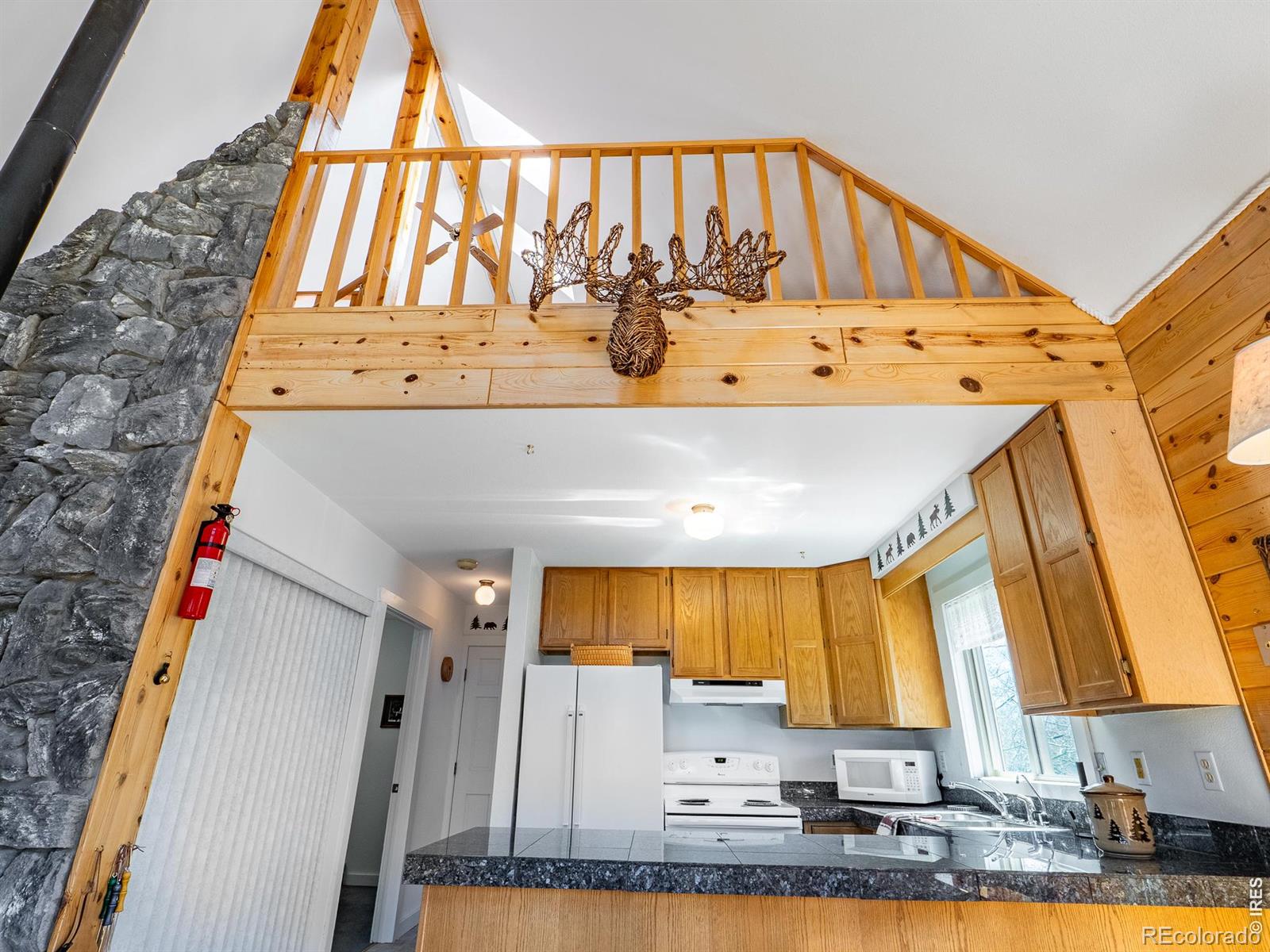 MLS Image #10 for 621  tesuque trail,red feather lakes, Colorado