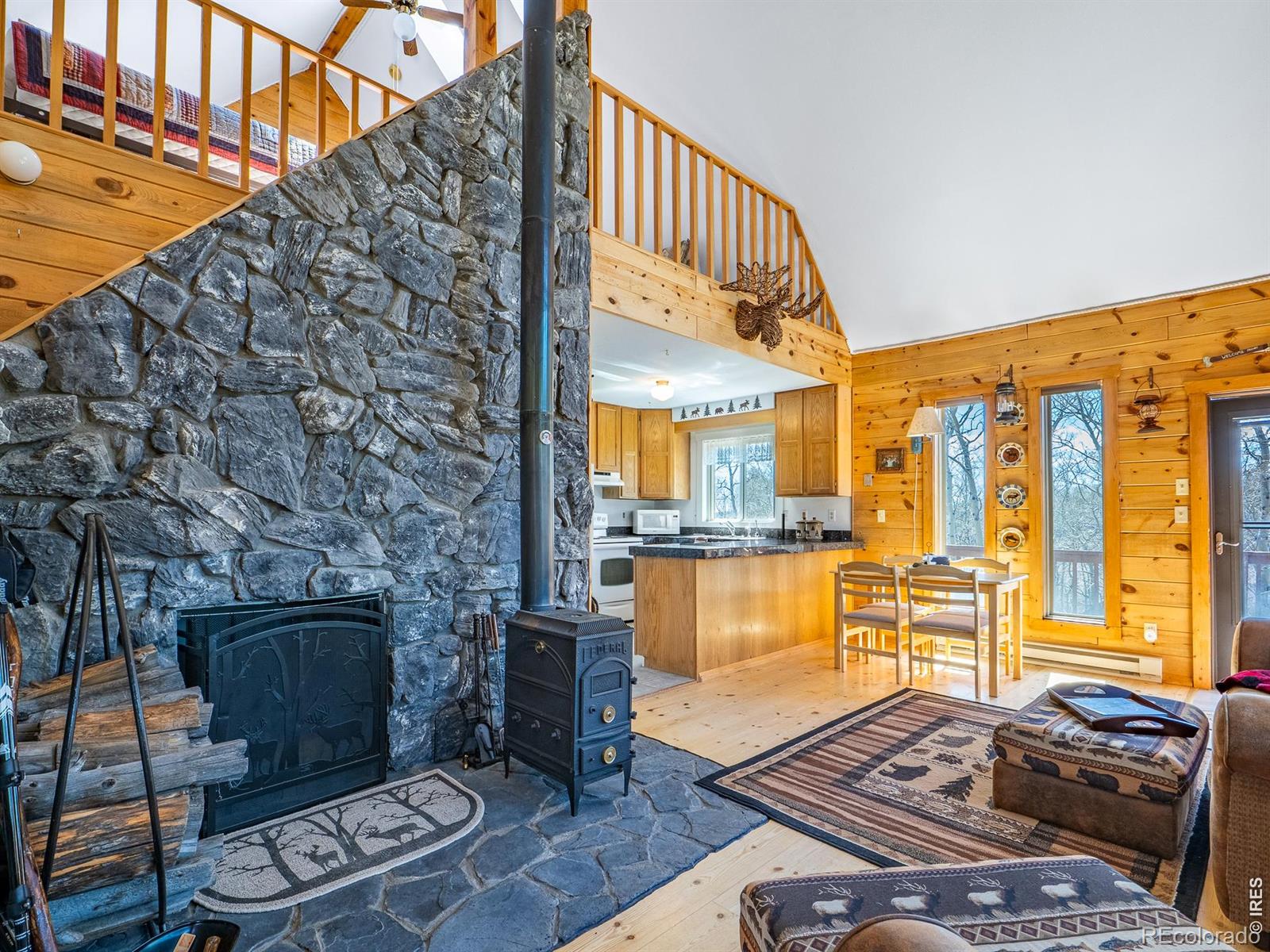 MLS Image #11 for 621  tesuque trail,red feather lakes, Colorado