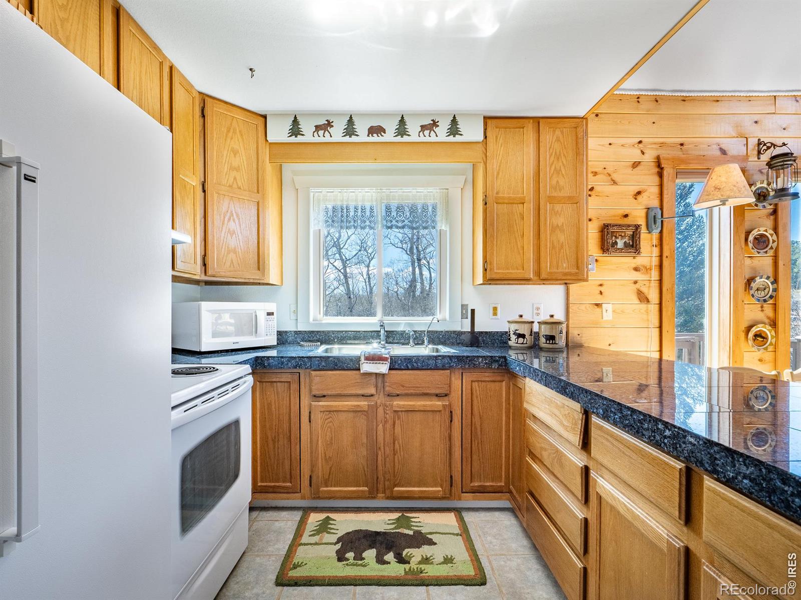 MLS Image #14 for 621  tesuque trail,red feather lakes, Colorado