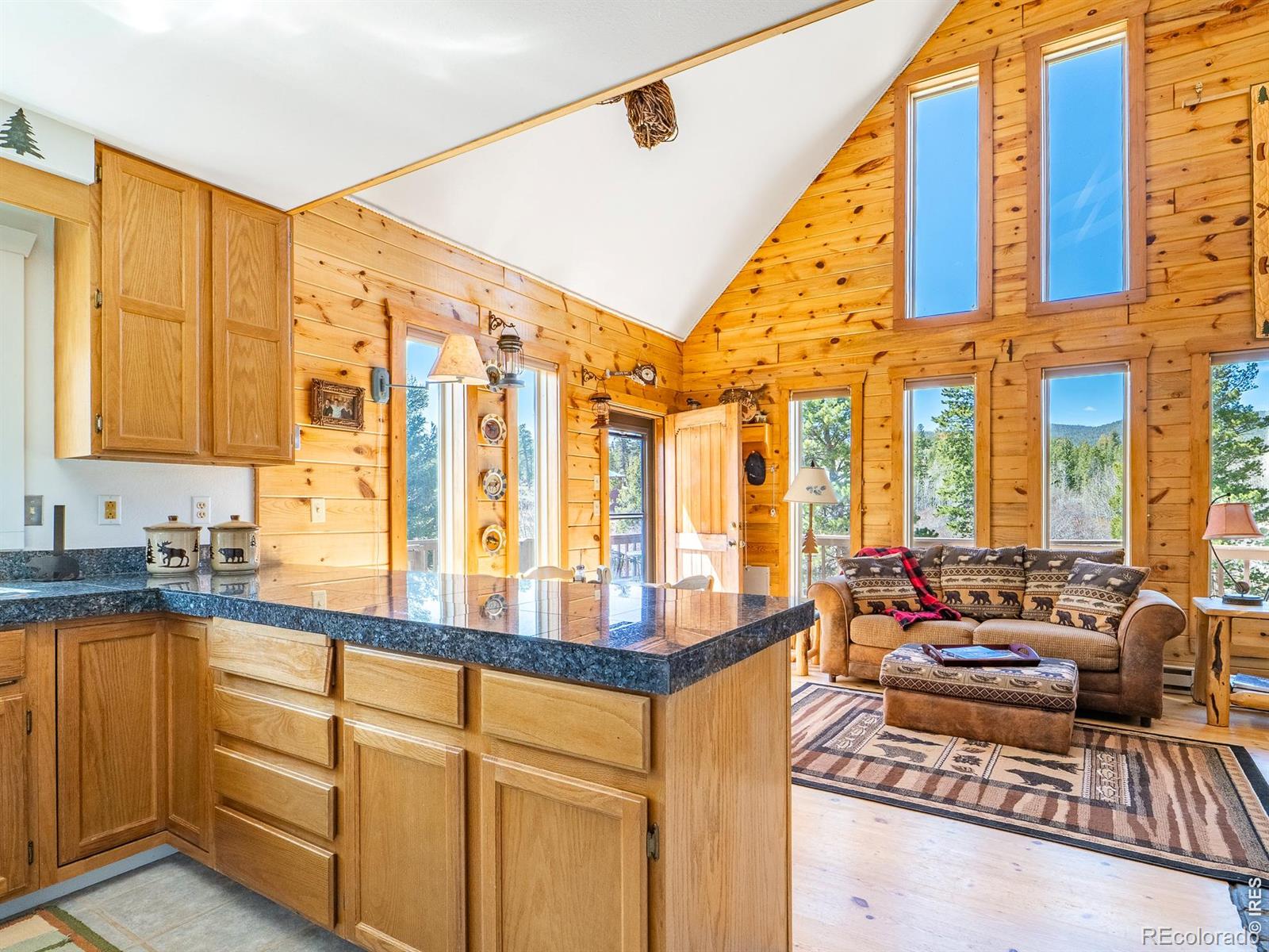 MLS Image #15 for 621  tesuque trail,red feather lakes, Colorado