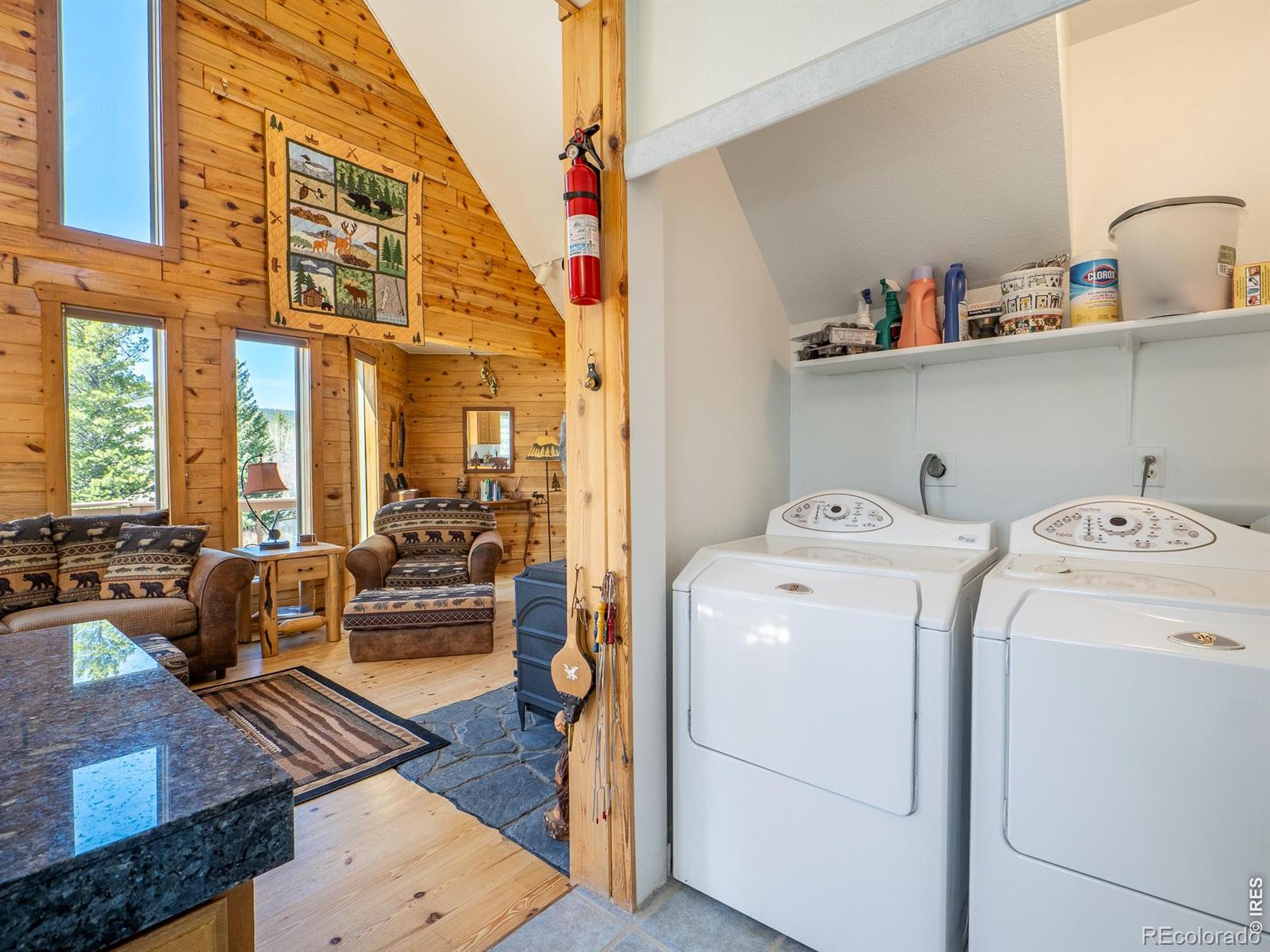 MLS Image #16 for 621  tesuque trail,red feather lakes, Colorado